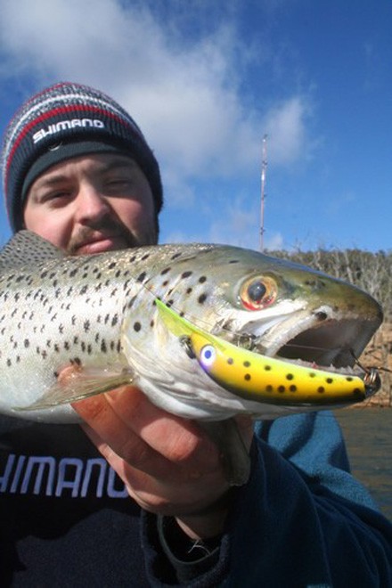 Diving lures such as this stump jumper get down into the timber where fish hold © Jarrod Day